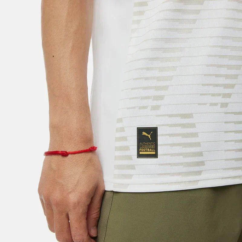 2025-26 PSV Eindhoven Third Kit